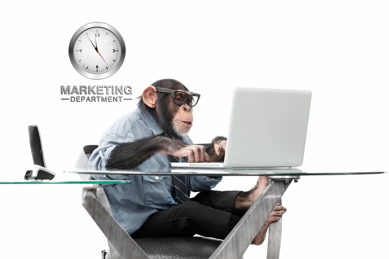 detnet-marketing-monkey.jpg
