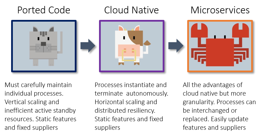 from-cats-to-crustaceans-infographic-a.png