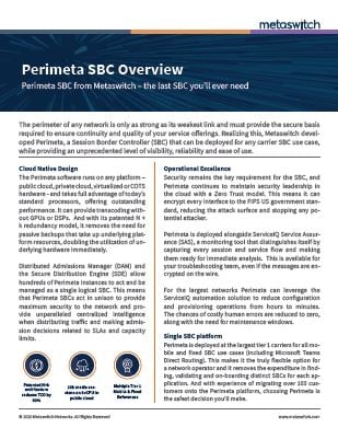 perimeta-sbc-overview-datasheet-thumbnail