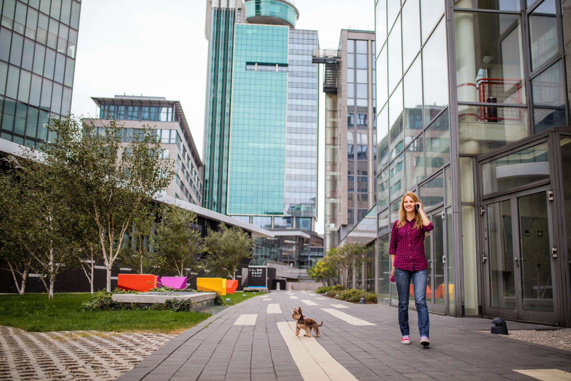 austria-downtown-woman-phone-dog