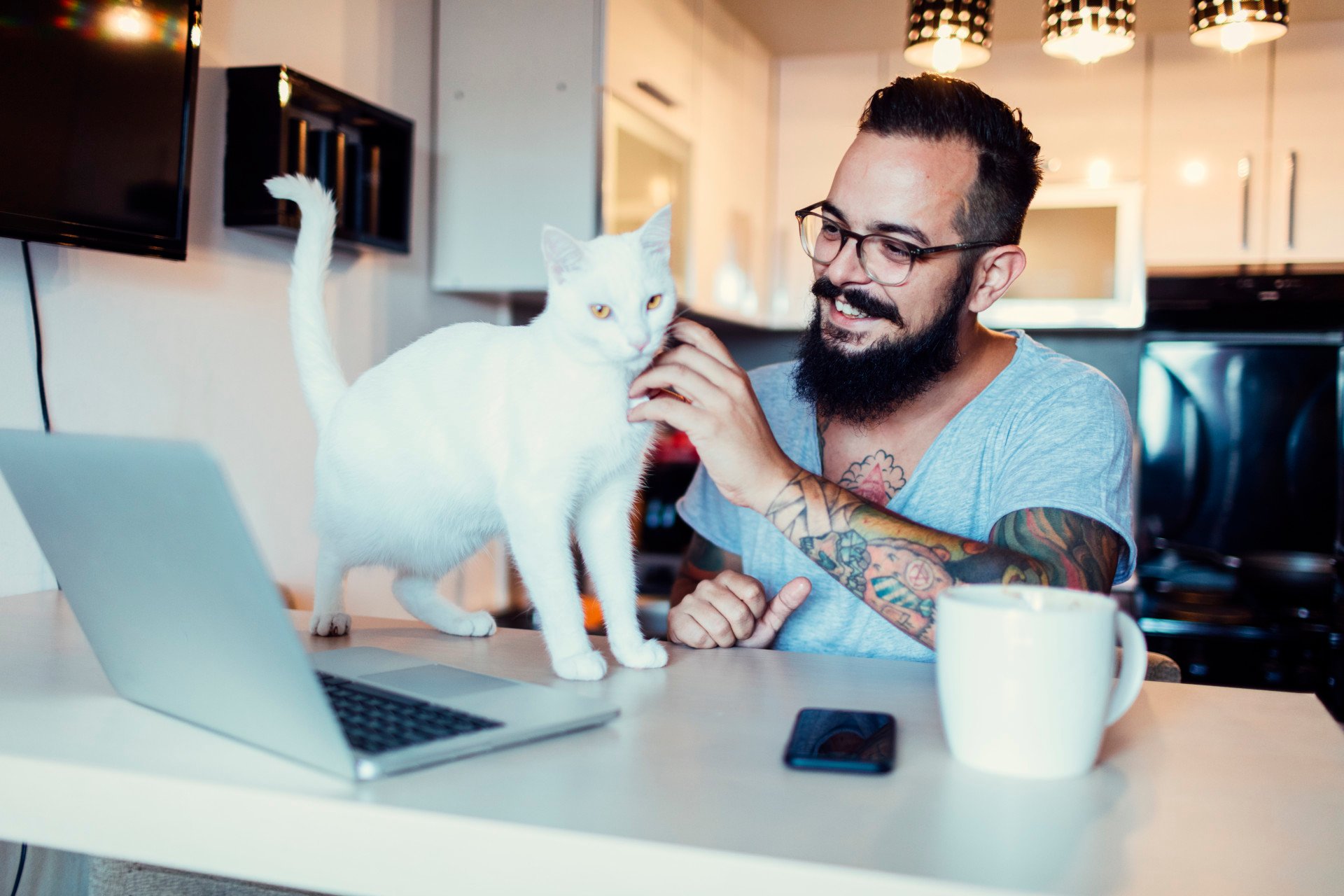 work-at-home-cat-man-laptop-kitchen-phone
